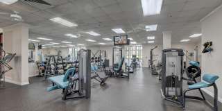 51 Tilford C Gallery 35