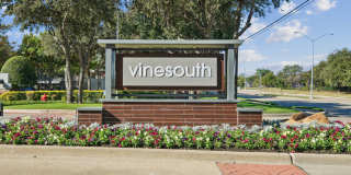 Vine South Gallery 32
