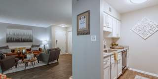 Woodbridge Gallery 3