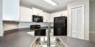 Paradise Island Gallery 10