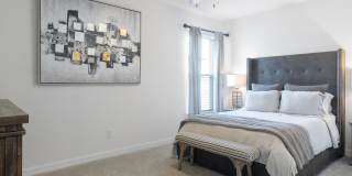 Cortona South Tampa Gallery 3