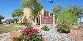 AVALON SPRINGS Gallery 15
