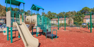 Ridgewood Gallery 15