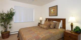 Hyde Park North Gallery 6