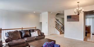 8250 RED CARNATION Court Gallery 25