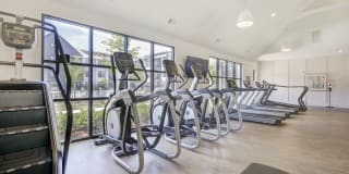 The Collins Luxury Apartments Gallery 20