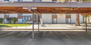 3156 Lakeside Drive Gallery 3