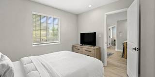 505 Collection Gallery 26