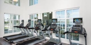 Town Westshore Gallery 29