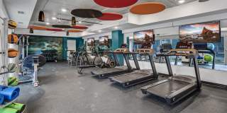 NOVO Apartments Gallery 12