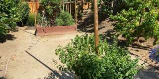 Gorgeous Country Estates 4BR 3.5BA Home in Almaden Gallery 20