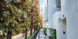 Modern Style 3 Bed / 3 Bath Townhouse + Bonus Room in North Alhambra! Gallery 14