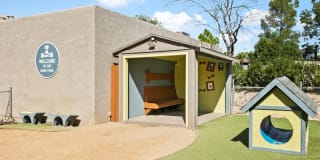 Domain 3201 Gallery 18
