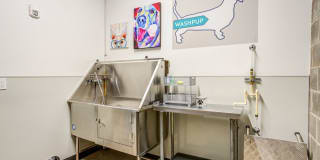 The Marilyn Gallery 30