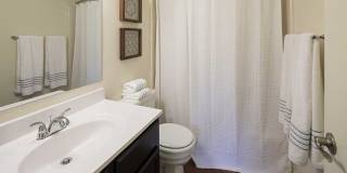 The Woods of Burnsville Gallery 33