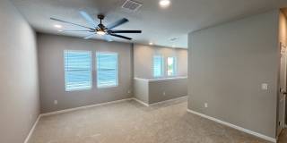 3379 Yellow Cassia Dr Gallery 14