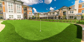 Regalia Bella Terra Gallery 8