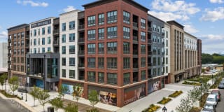 The Signal Gallery 42