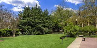 Jefferson Chase Gallery 17