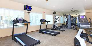 Raintree Apartments Gallery 20