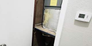 3433 Hollywood Street (3 Bed/1 Bath) Gallery 22