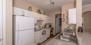 Harbor Cove Gallery 19