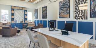 Vireo Medical District Gallery 24