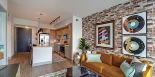 Novo Las Olas Gallery 1