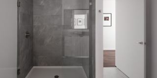 VIV Gallery 20