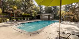 Lime Ridge Gallery 8