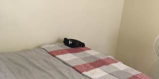 2416 4th Ave S Gallery 29