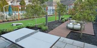 Brookside Village Gallery 21