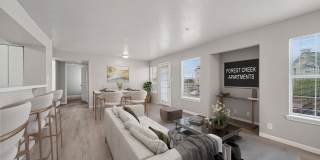 Forest Creek Gallery 7