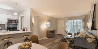 A/62 Apartments Gallery 9