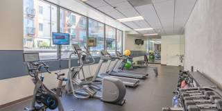 The Prescott Gallery 24