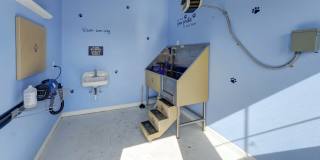 Alinium at Zionsville Gallery 39