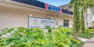 Spectra Palms Gallery 19