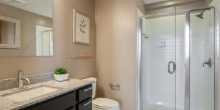 Ellis Bethesda Gallery 11