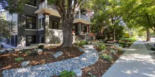 1124 St. Paul Street Gallery 10