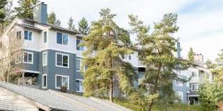 Skyline at Murrayhill Gallery 47