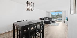 1050 Hillsboro Mile Gallery 4