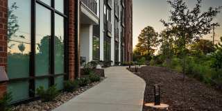 Contour at NoDa Gallery 62