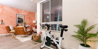 North Grove Gallery 10