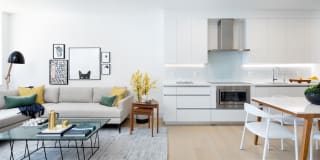 The Duchess Gallery 22