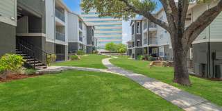 Medical Center Gallery 26