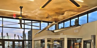 The Aviator Gallery 26