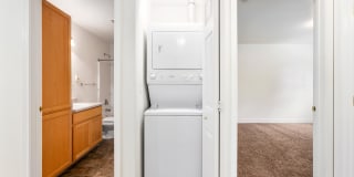 Rock Springs Gallery 16