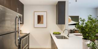 James and Harrison Court Gallery 12