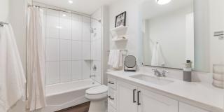 The Common Gallery 11