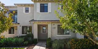 The Grove on Main Townhomes Gallery 23